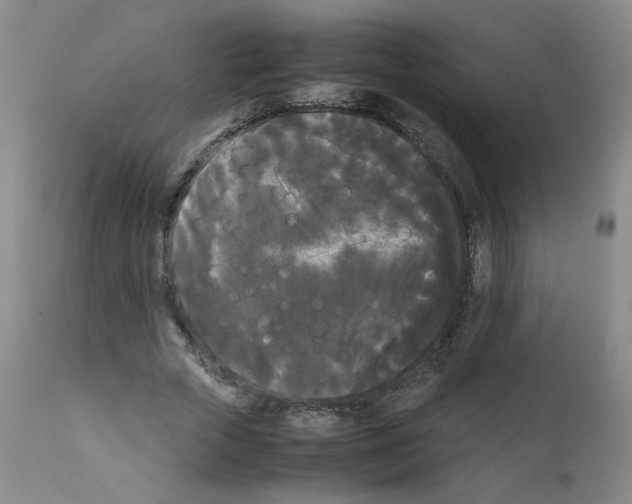 X0000112070729200909151048
