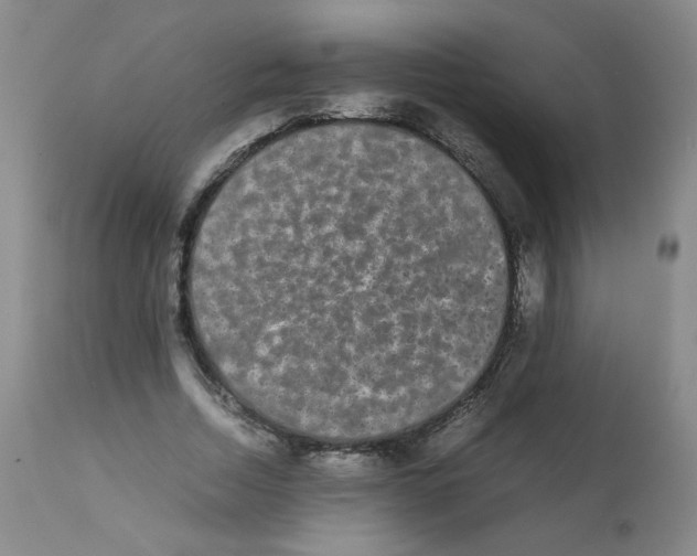X0000112070730200909151048