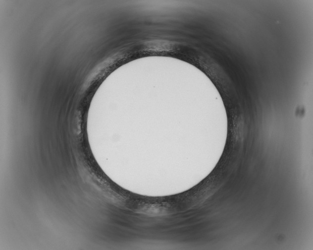 X0000112070731200909151048
