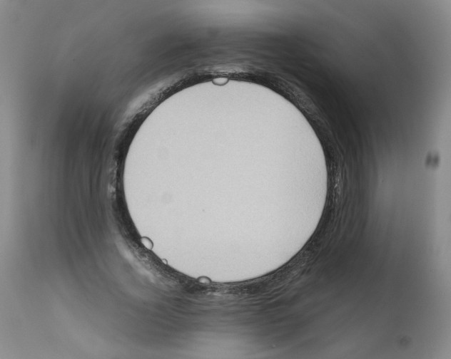 X0000112070732200909151048