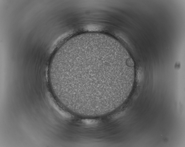 X0000112070733200909151048