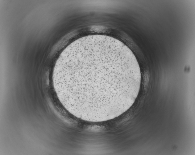 X0000112070734200909151048