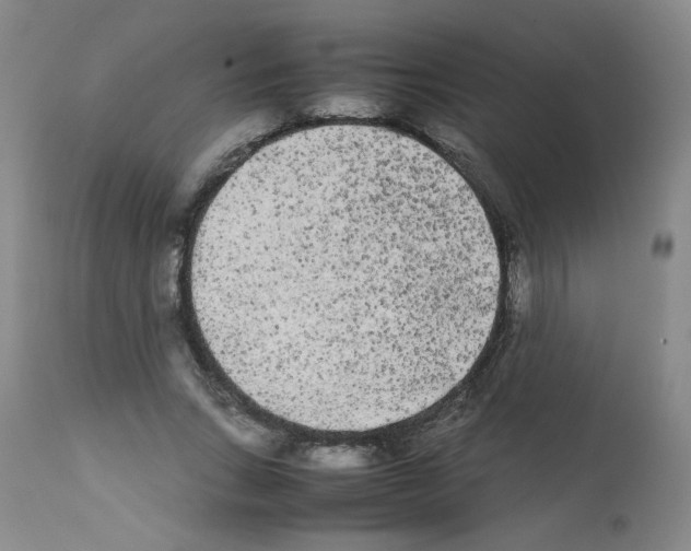 X0000112070735200909151048