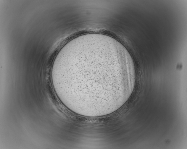 X0000112070736200909151048
