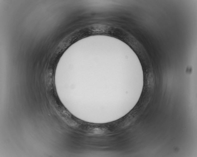 X0000112070737200909151048