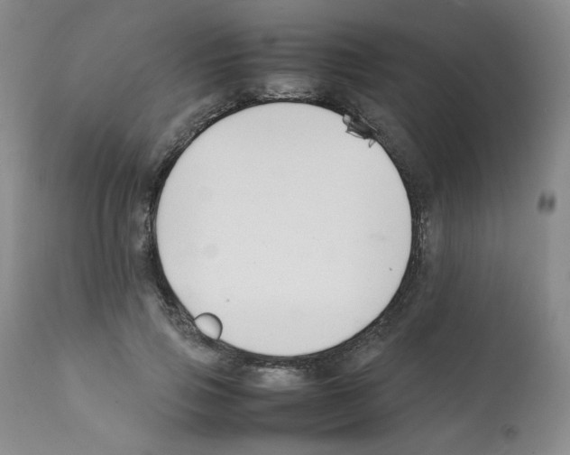 X0000112070741200909151048