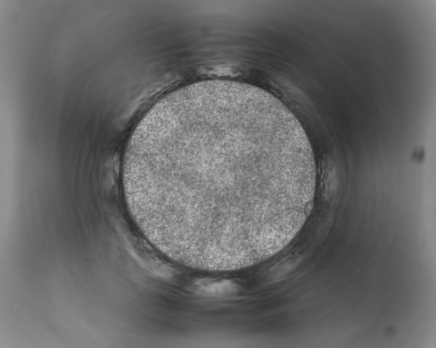 X0000112070747200909151048