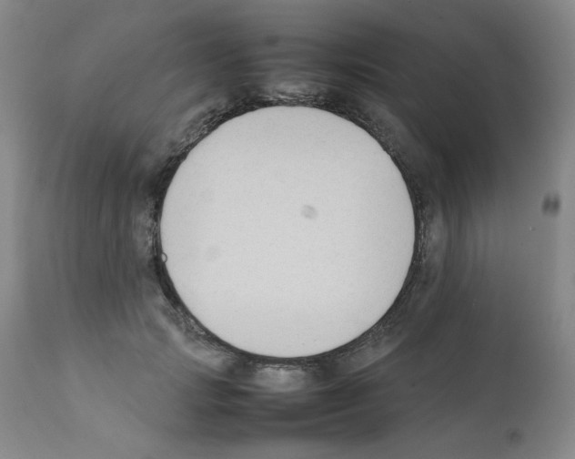 X0000112070749200909151048
