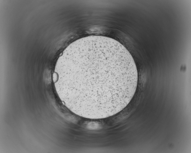 X0000112070751200909151048