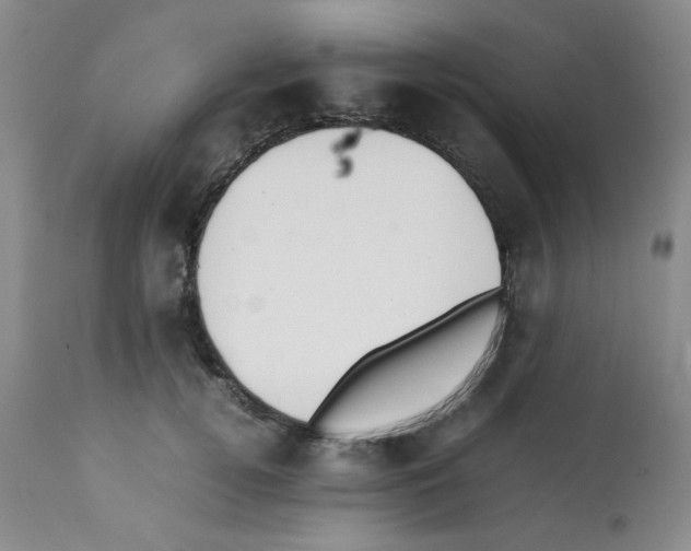 X0000112070752200909151048