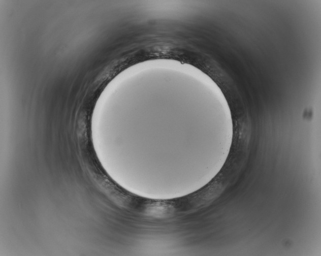 X0000112070754200909151048
