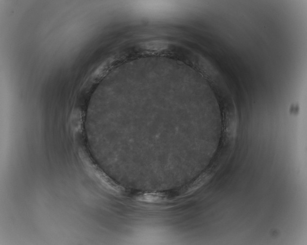 X0000112070758200909151048