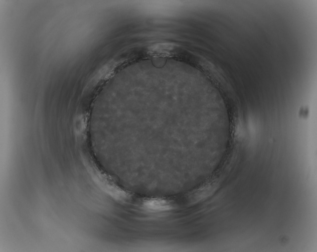 X0000112070759200909151048