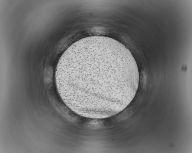 X0000112070760200909151048