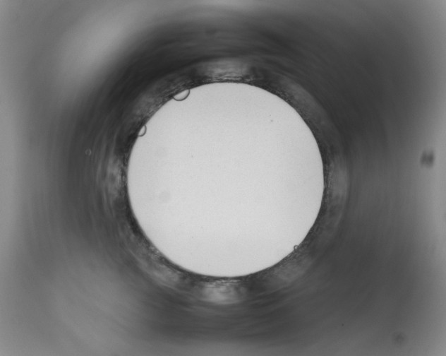 X0000112070761200909151048