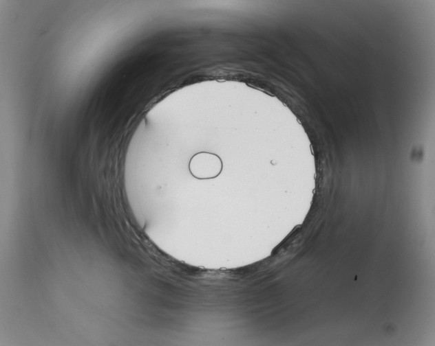 X0000112070762200909151048