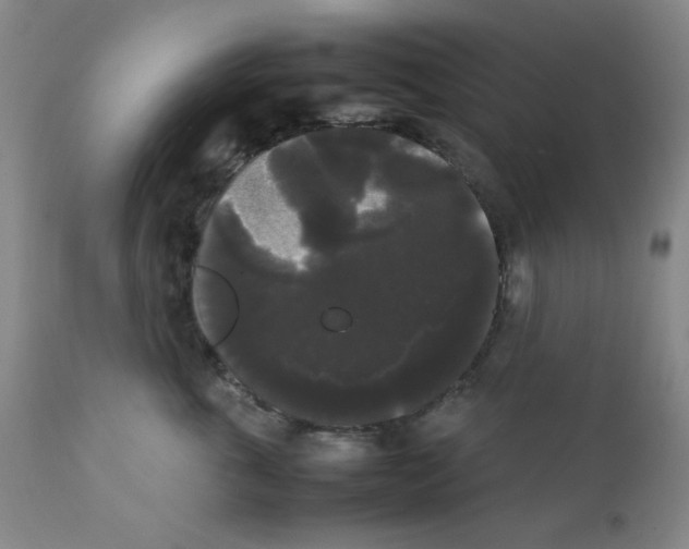 X0000112070763200909151048