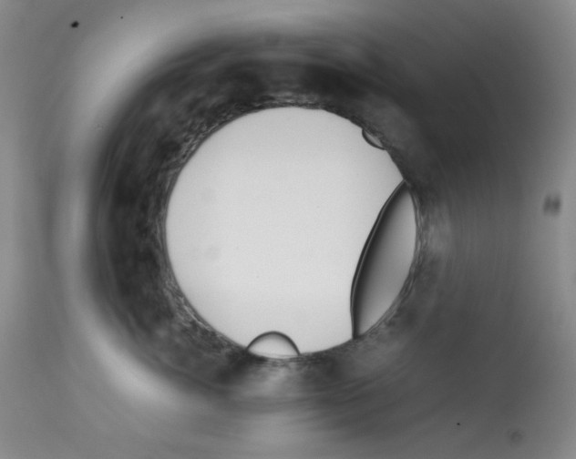 X0000112070764200909151048