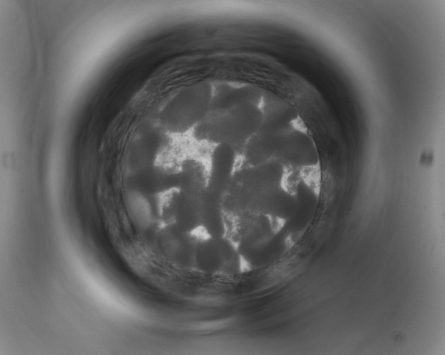 X0000112070765200909151048