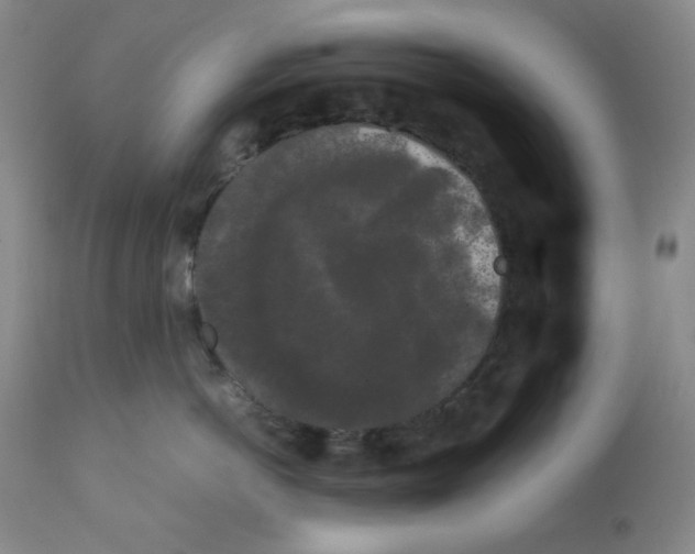 X0000112070766200909151048