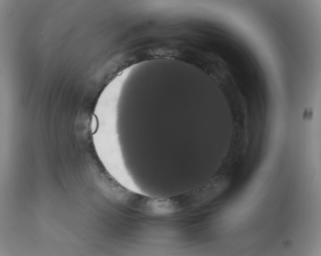 X0000112070767200909151048
