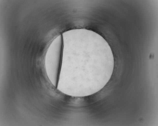 X0000112070768200909151048
