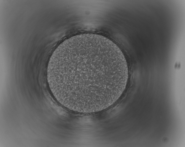 X0000112070769200909151048