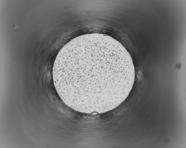 X0000112070771200909151048