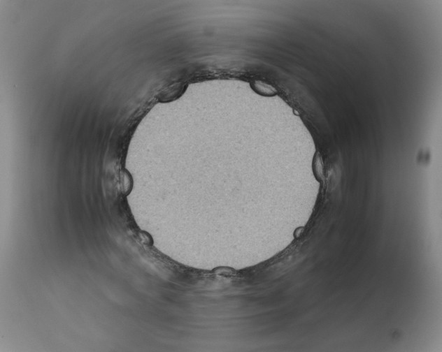 X0000112070772200909151048