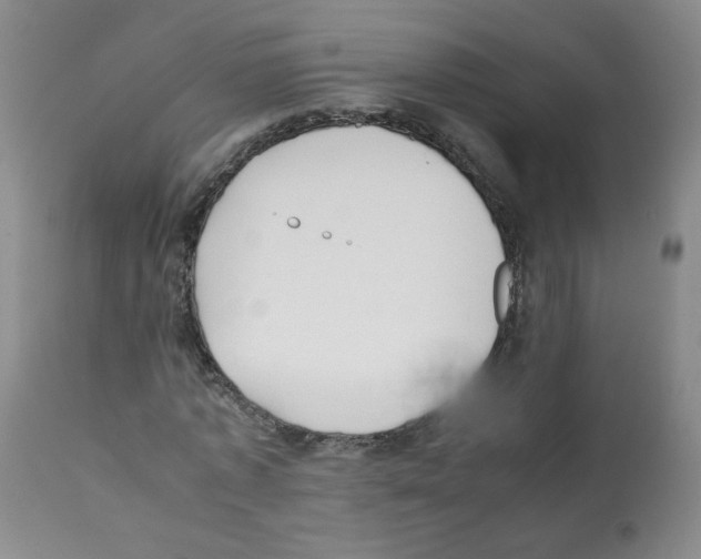 X0000112070773200909151048