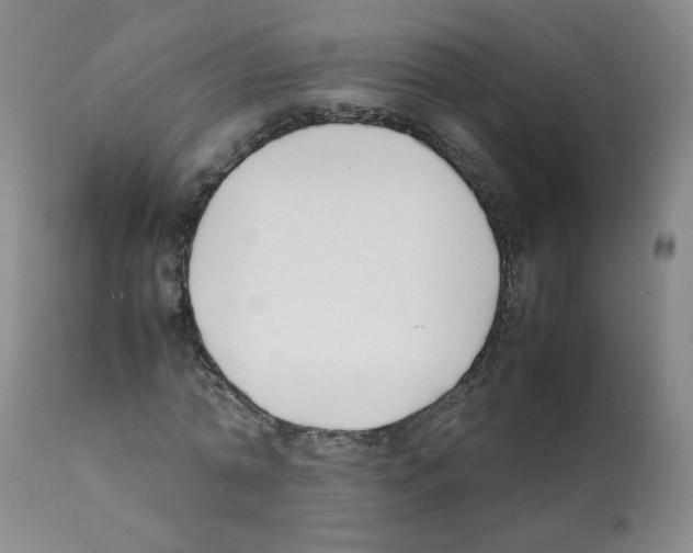 X0000112070774200909151048