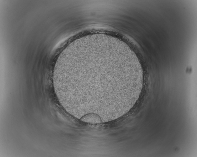 X0000112070775200909151048