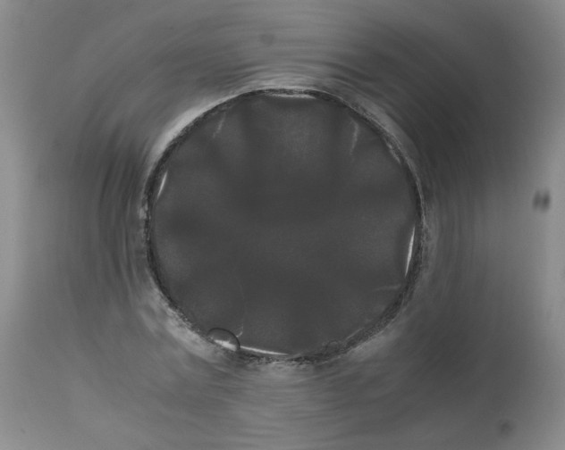 X0000112070779200909151048