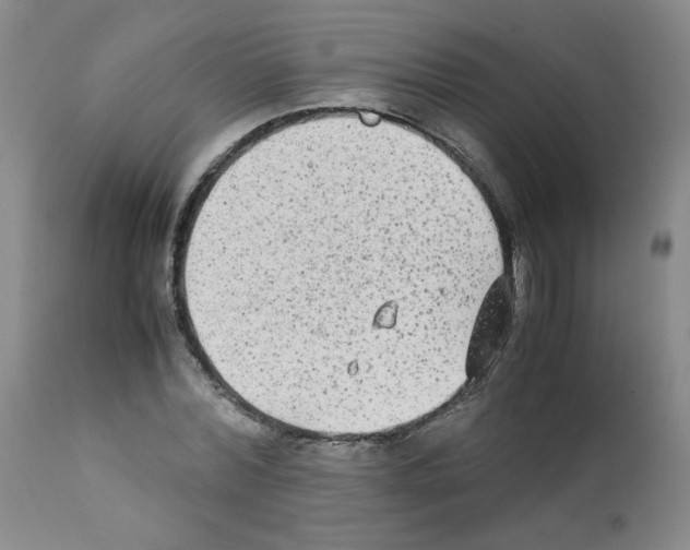 X0000112070780200909151048