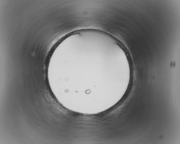 X0000112070781200909151048