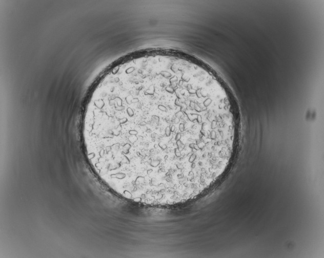 X0000112070783200909151048