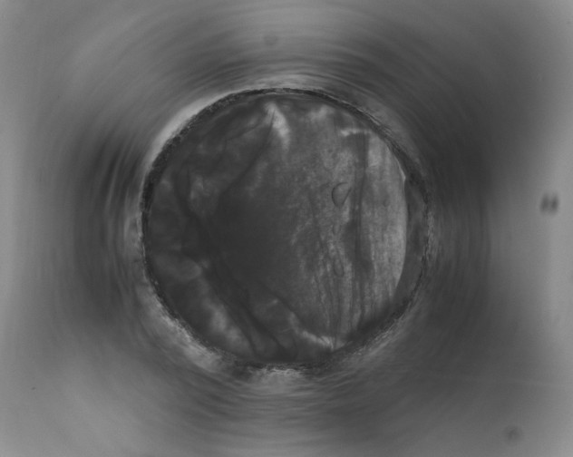 X0000112070784200909151048