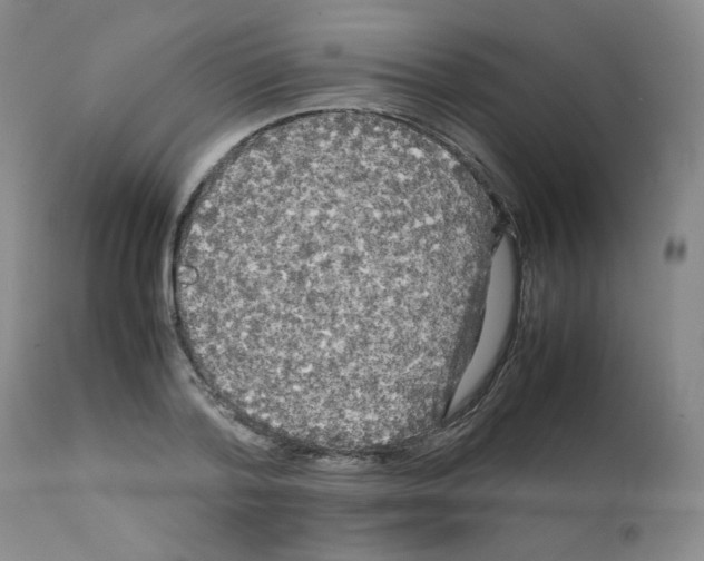 X0000112070788200909151048
