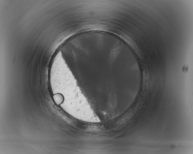 X0000112070790200909151048