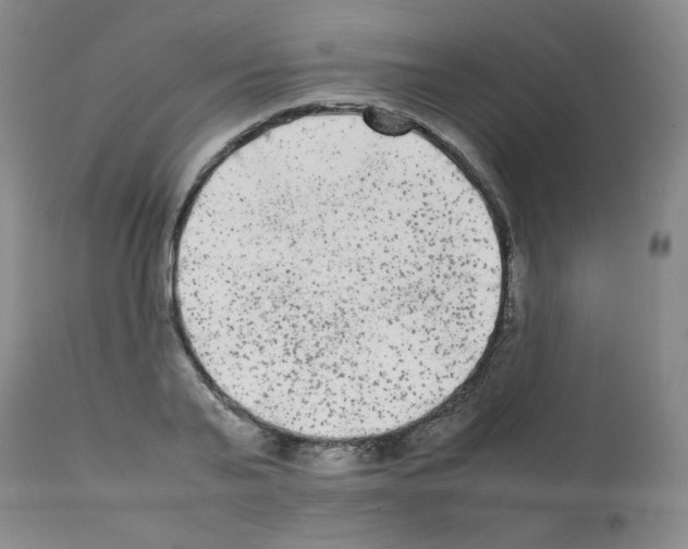 X0000112070791200909151048