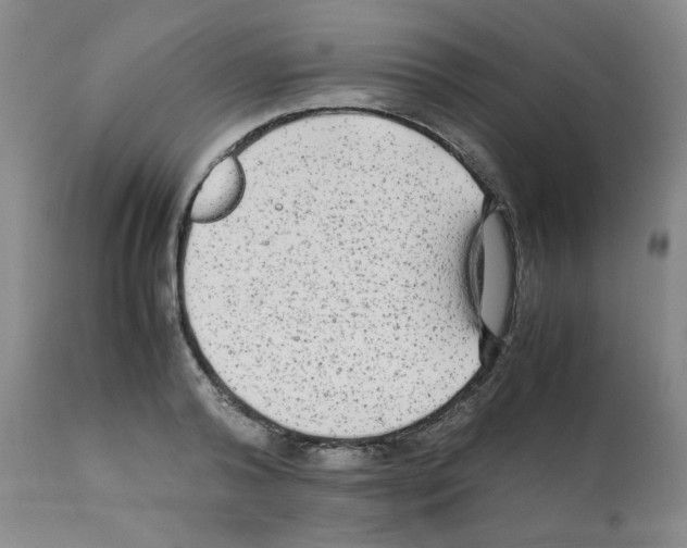 X0000112070792200909151047