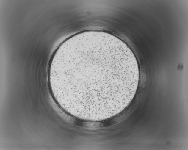 X0000112070795200909151047