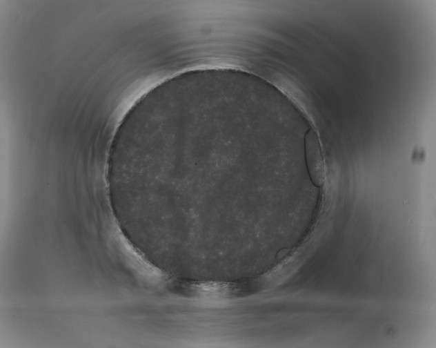 X0000112070797200909151047