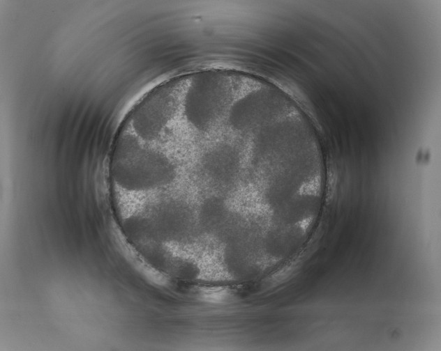 X0000112070798200909151047