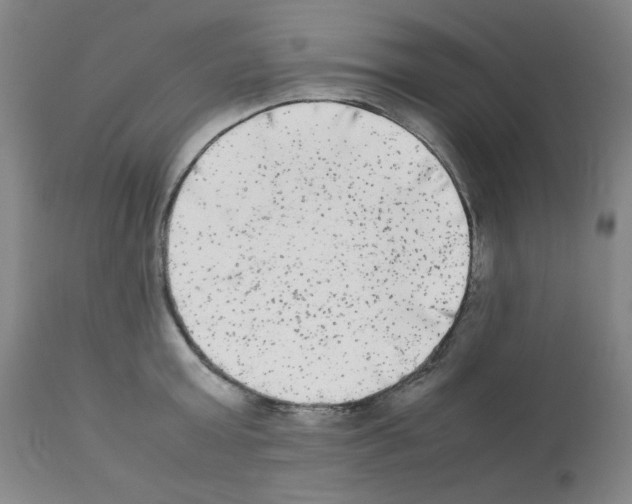 X0000112070803200909151047