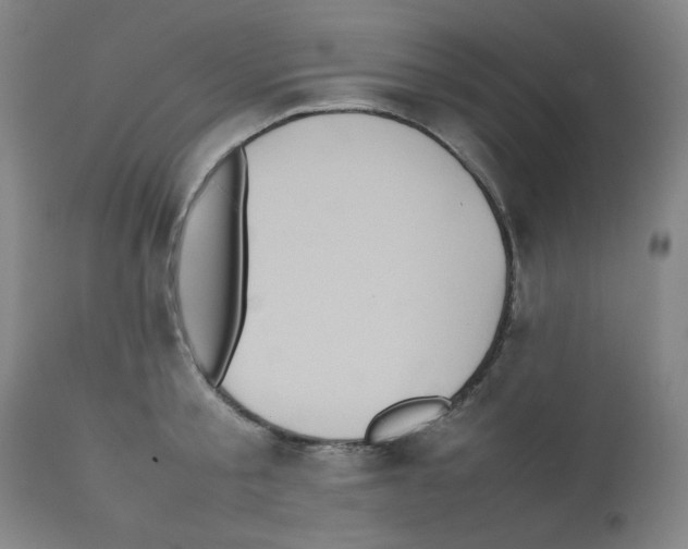 X0000112070805200909151047
