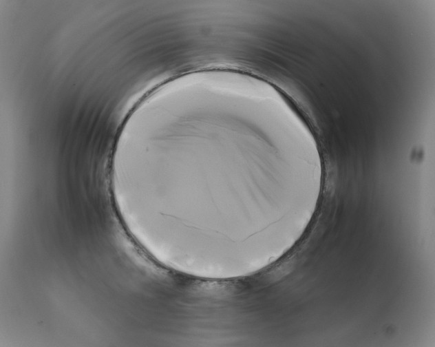 X0000112070806200909151047