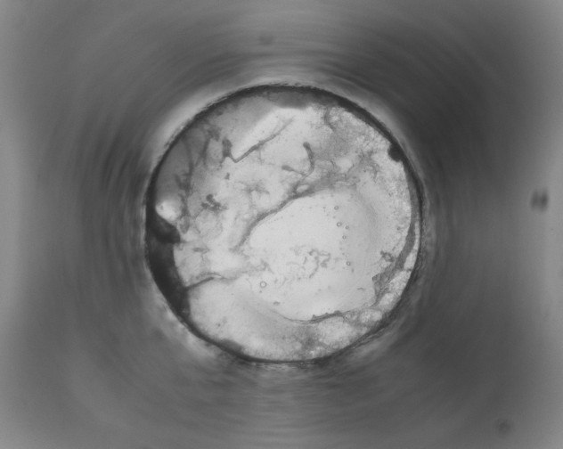 X0000112070807200909151047