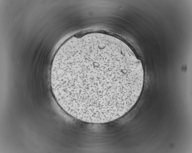 X0000112070808200909151047