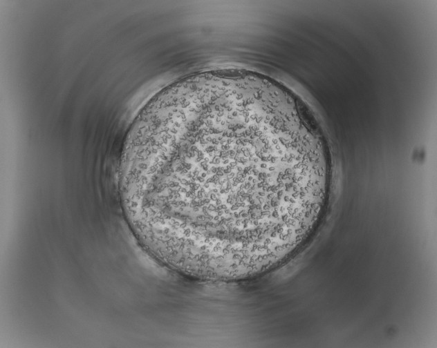 X0000112070809200909151047